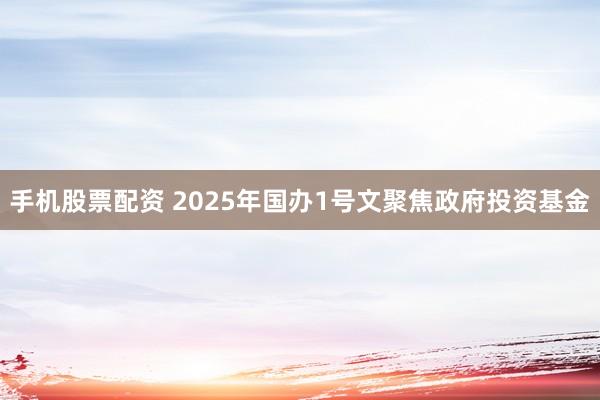 手机股票配资 2025年国办1号文聚焦政府投资基金