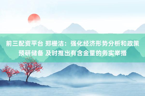 前三配资平台 郑栅洁：强化经济形势分析和政策预研储备 及时推出有含金量的务实举措