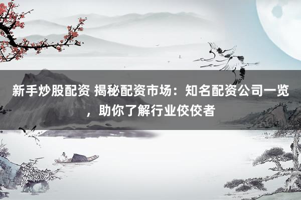 新手炒股配资 揭秘配资市场：知名配资公司一览，助你了解行业佼佼者