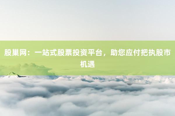 股巢网：一站式股票投资平台，助您应付把执股市机遇
