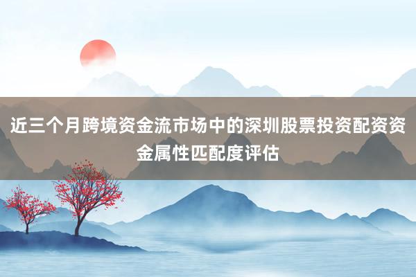 近三个月跨境资金流市场中的深圳股票投资配资资金属性匹配度评估