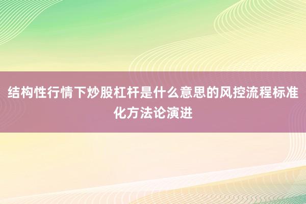 结构性行情下炒股杠杆是什么意思的风控流程标准化方法论演进