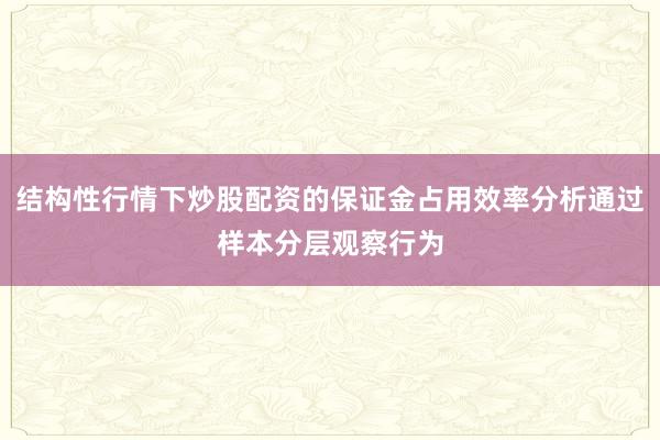 结构性行情下炒股配资的保证金占用效率分析通过样本分层观察行为