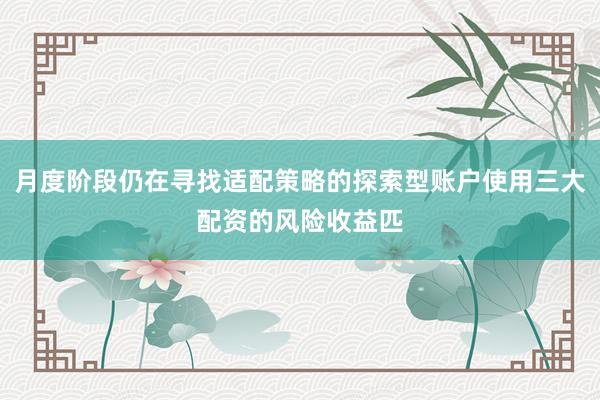 月度阶段仍在寻找适配策略的探索型账户使用三大配资的风险收益匹