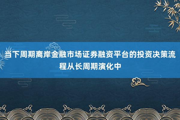当下周期离岸金融市场证券融资平台的投资决策流程从长周期演化中