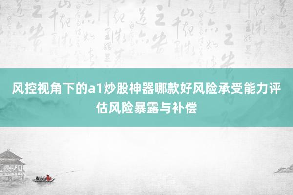 风控视角下的a1炒股神器哪款好风险承受能力评估风险暴露与补偿