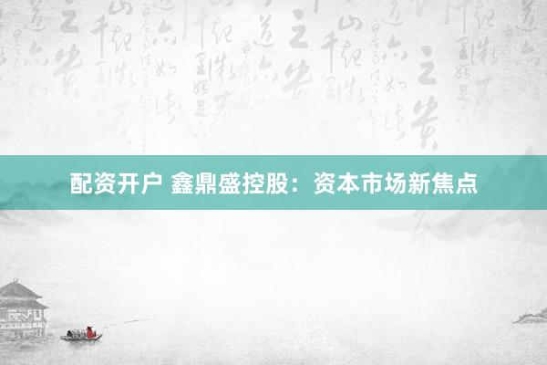 配资开户 鑫鼎盛控股：资本市场新焦点