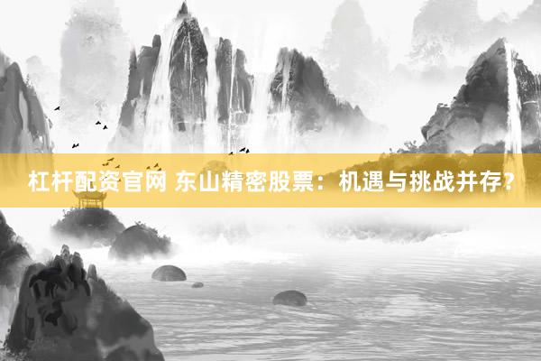杠杆配资官网 东山精密股票：机遇与挑战并存？