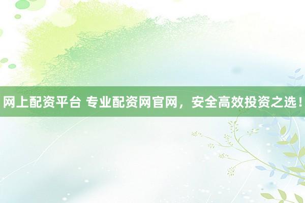 网上配资平台 专业配资网官网，安全高效投资之选！