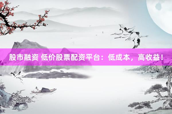 股市融资 低价股票配资平台：低成本，高收益！