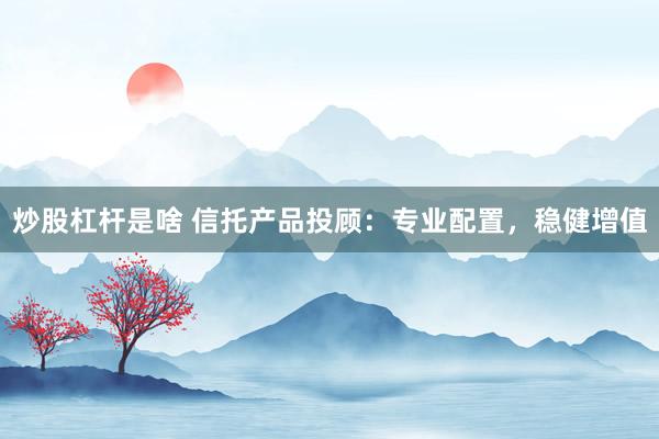炒股杠杆是啥 信托产品投顾:专业配置,稳健增值