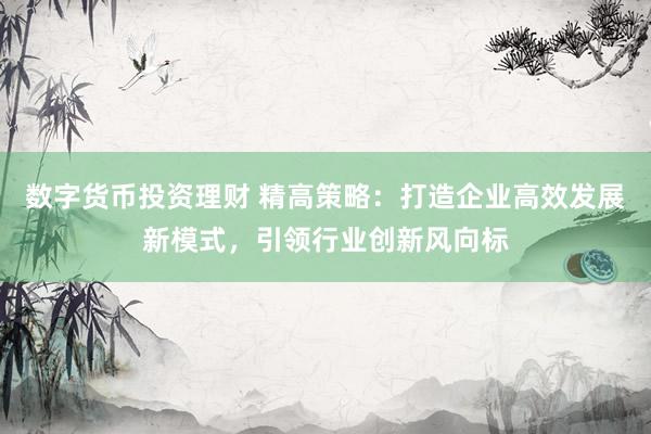 数字货币投资理财 精高策略：打造企业高效发展新模式，引领行业创新风向标