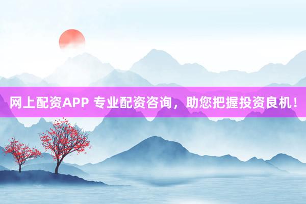网上配资APP 专业配资咨询，助您把握投资良机！