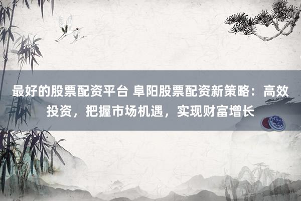 最好的股票配资平台 阜阳股票配资新策略：高效投资，把握市场机遇，实现财富增长