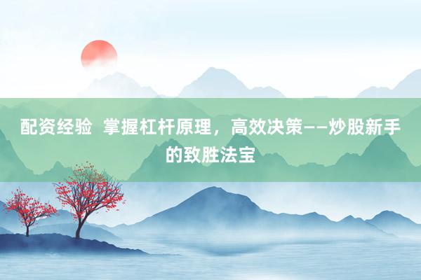 配资经验 掌握杠杆原理,高效决策——炒股新手的致胜法宝